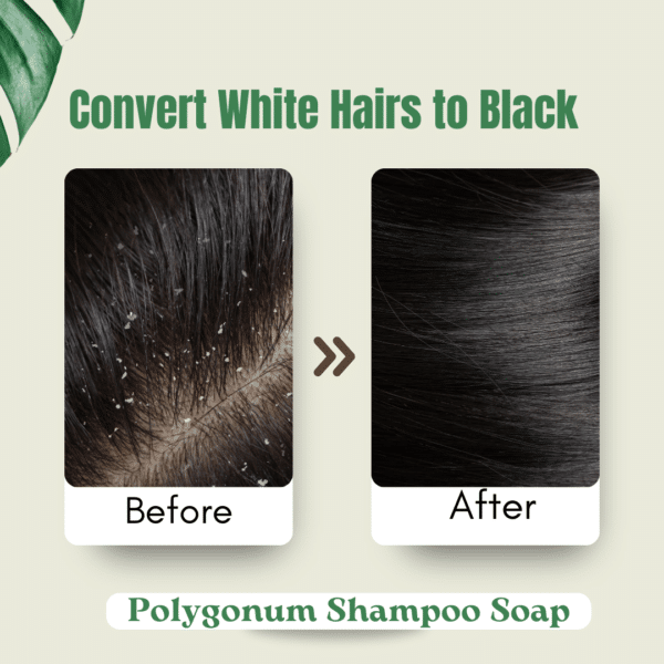 Polygonum Shampoo Soap