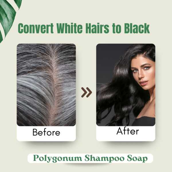 Polygonum Shampoo Soap