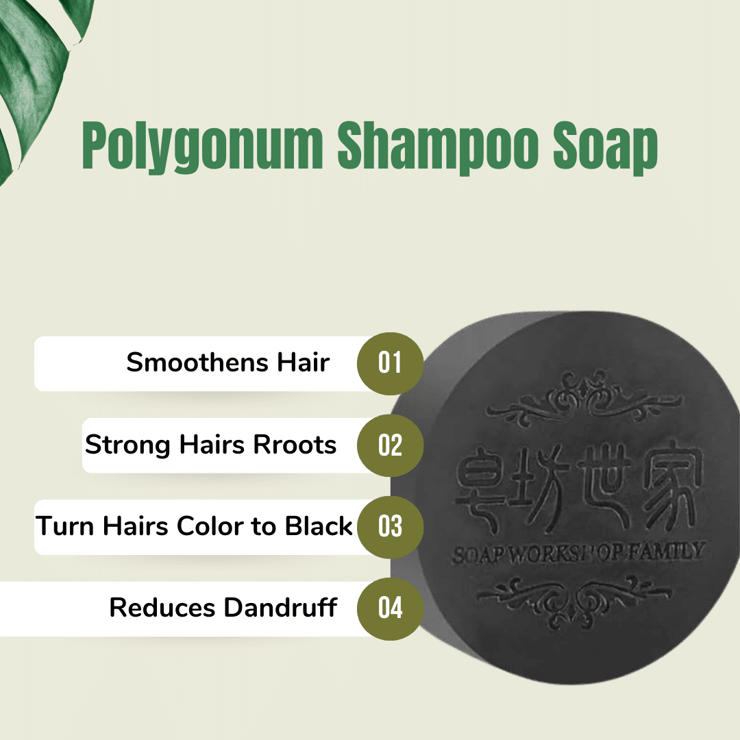 Polygonum Shampoo Soap